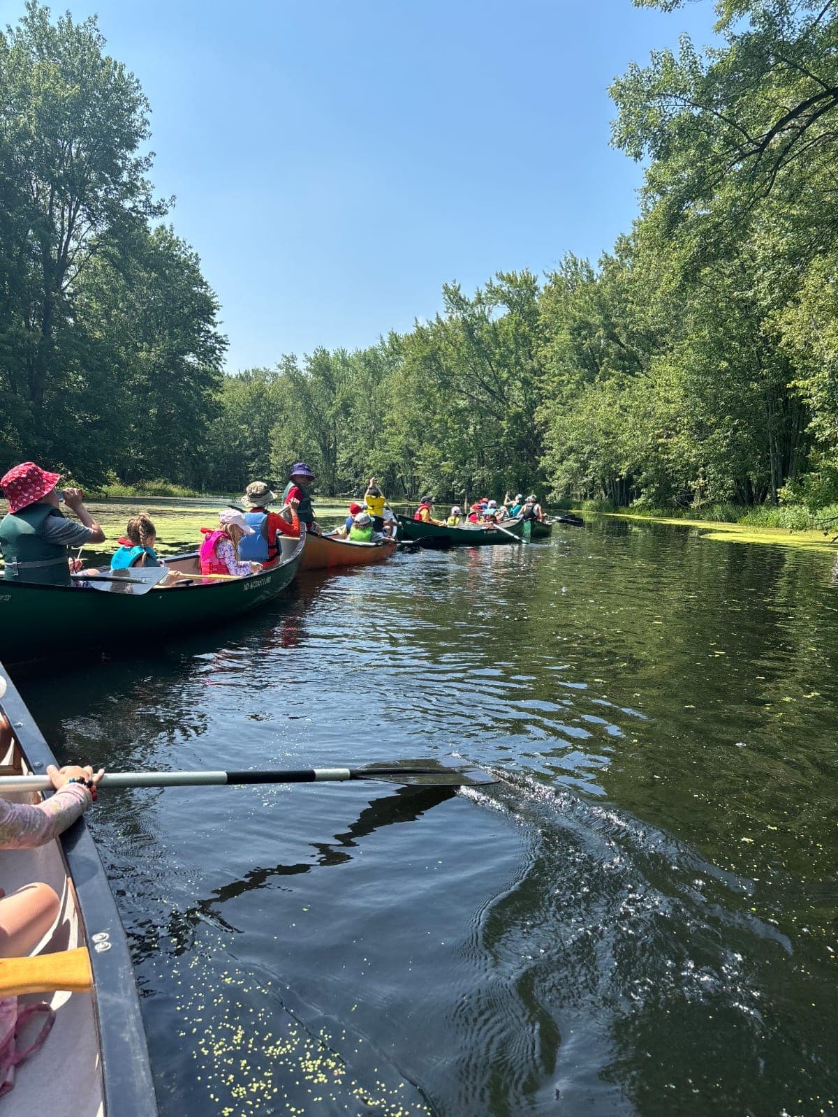 working at WILDE at WILDE Camp